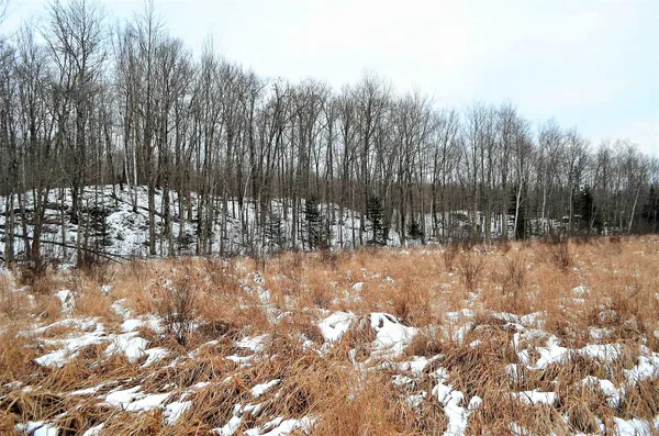 $499,900 | County Road, Birnamwood, WI 54414