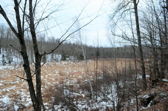 $499,900 | County Road, Birnamwood, WI 54414