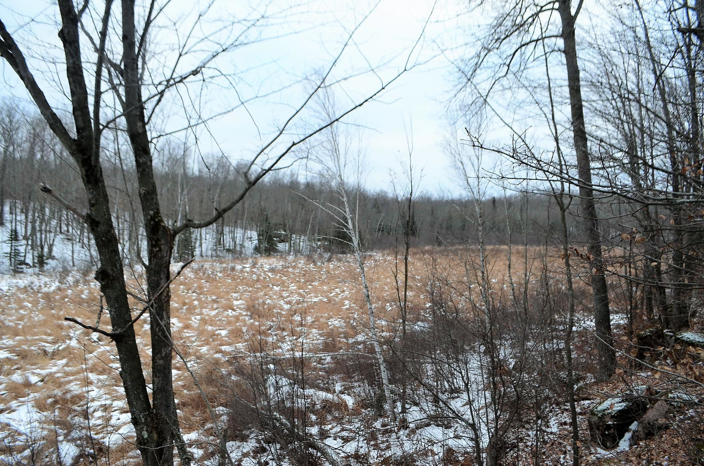 County Road Birnamwood, WI 54414 - Photo 10 of 18