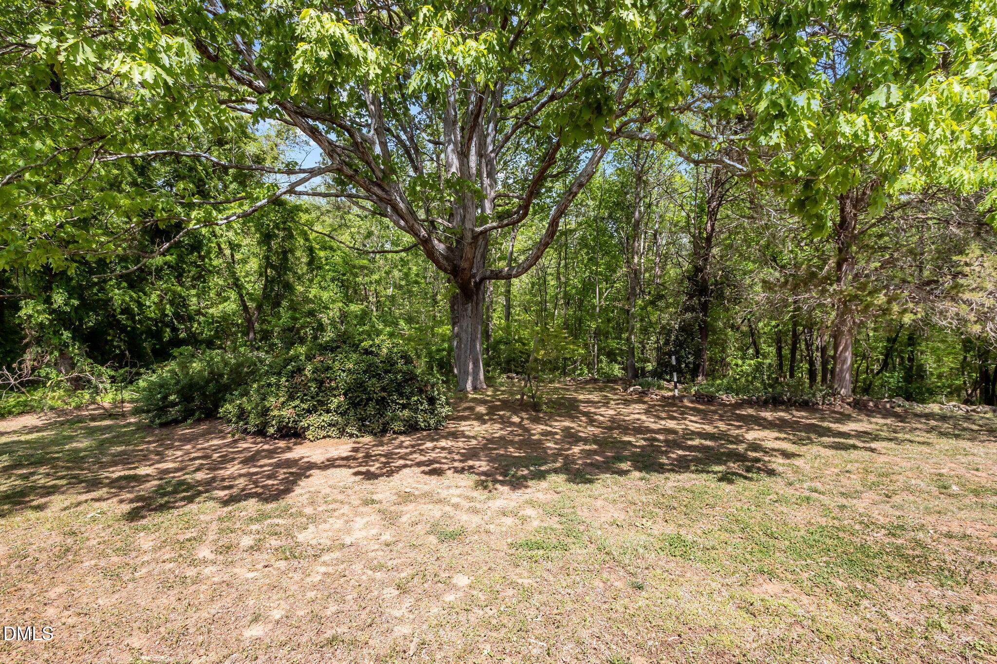 643 Old Stonehouse Road Chapel Hill, NC 27516 - Photo 47 of 63 a view of a yard with a tree