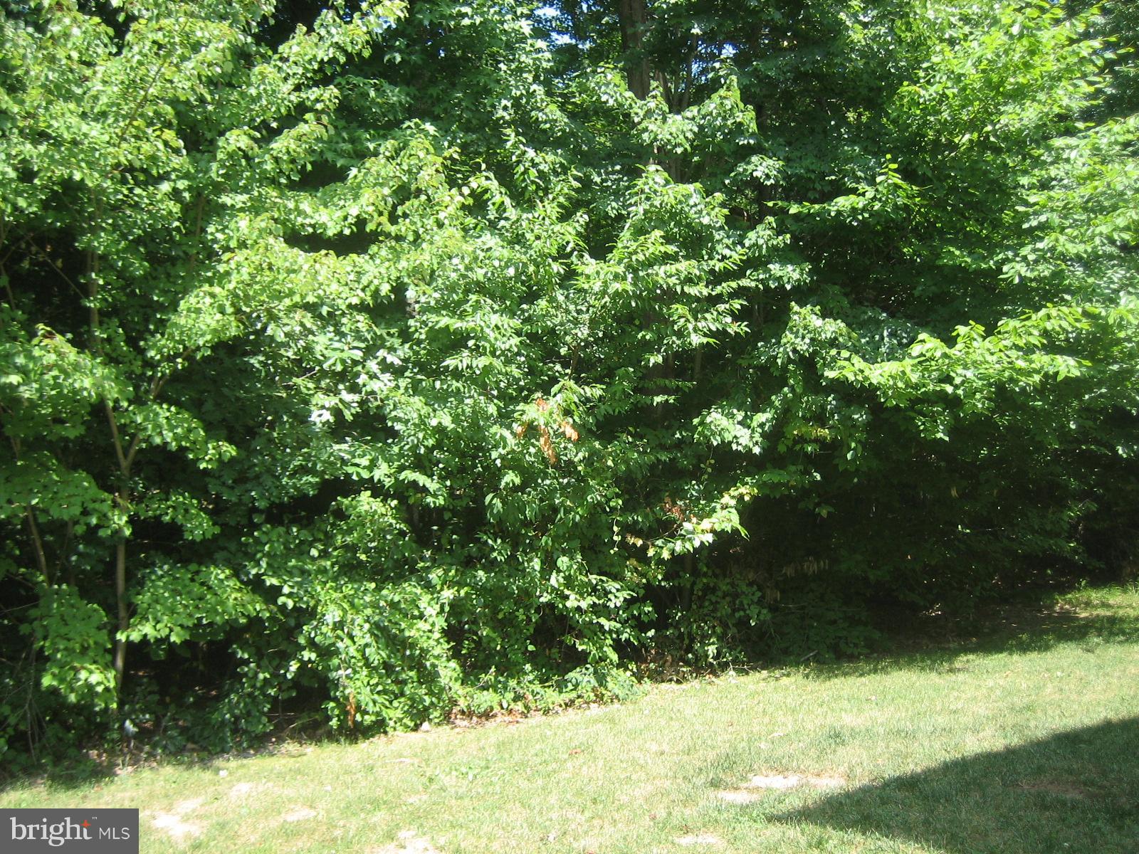 118 Patton Way Elkton, MD 21921 - Photo 16 of 16 Exterior (Rear)