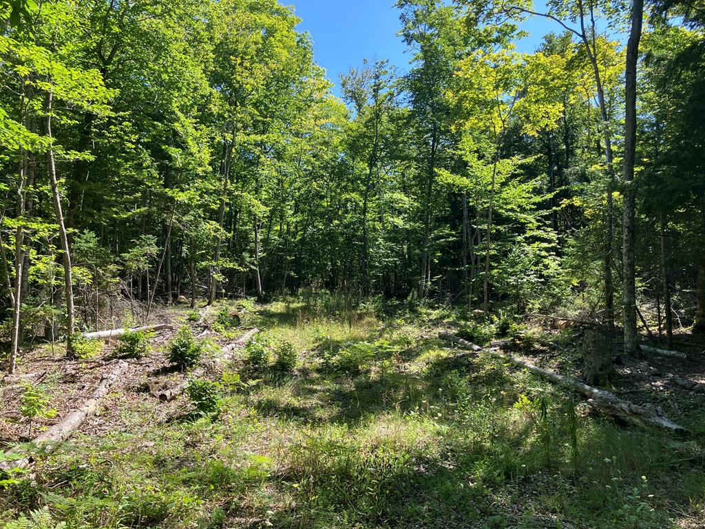 749 Isle View Road Ellison Bay, WI 54210 - Photo 1 of 9 Main View
