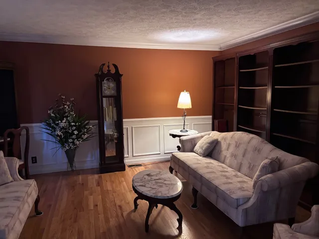 a living room with furniture and a potted plant