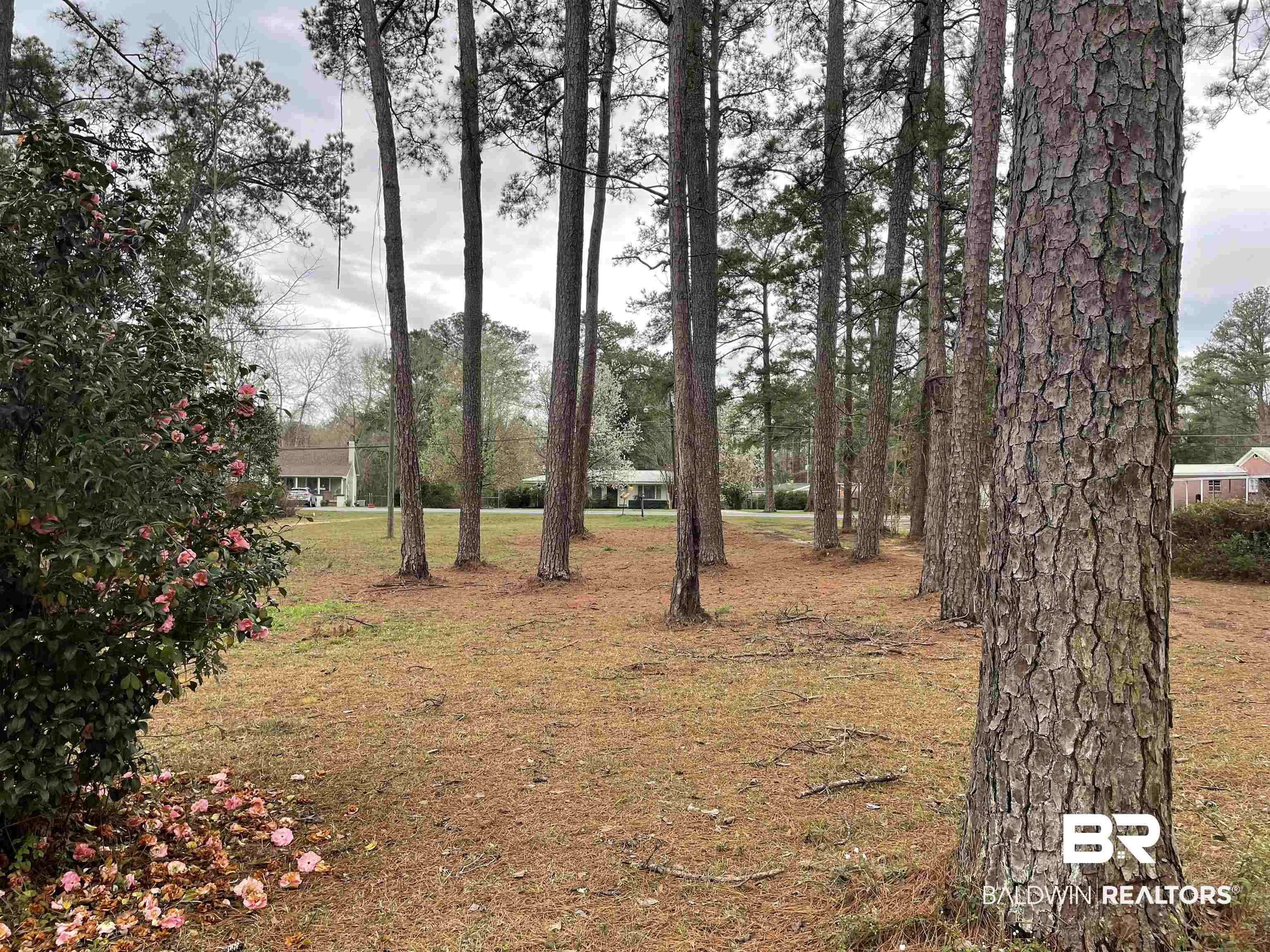 1245 Forrest Avenue Brewton, AL 36426 - Photo 9 of 24