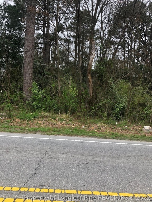 West Old Road West Lillington, NC 27546 - Photo 2 of 3 Gallery Image 2