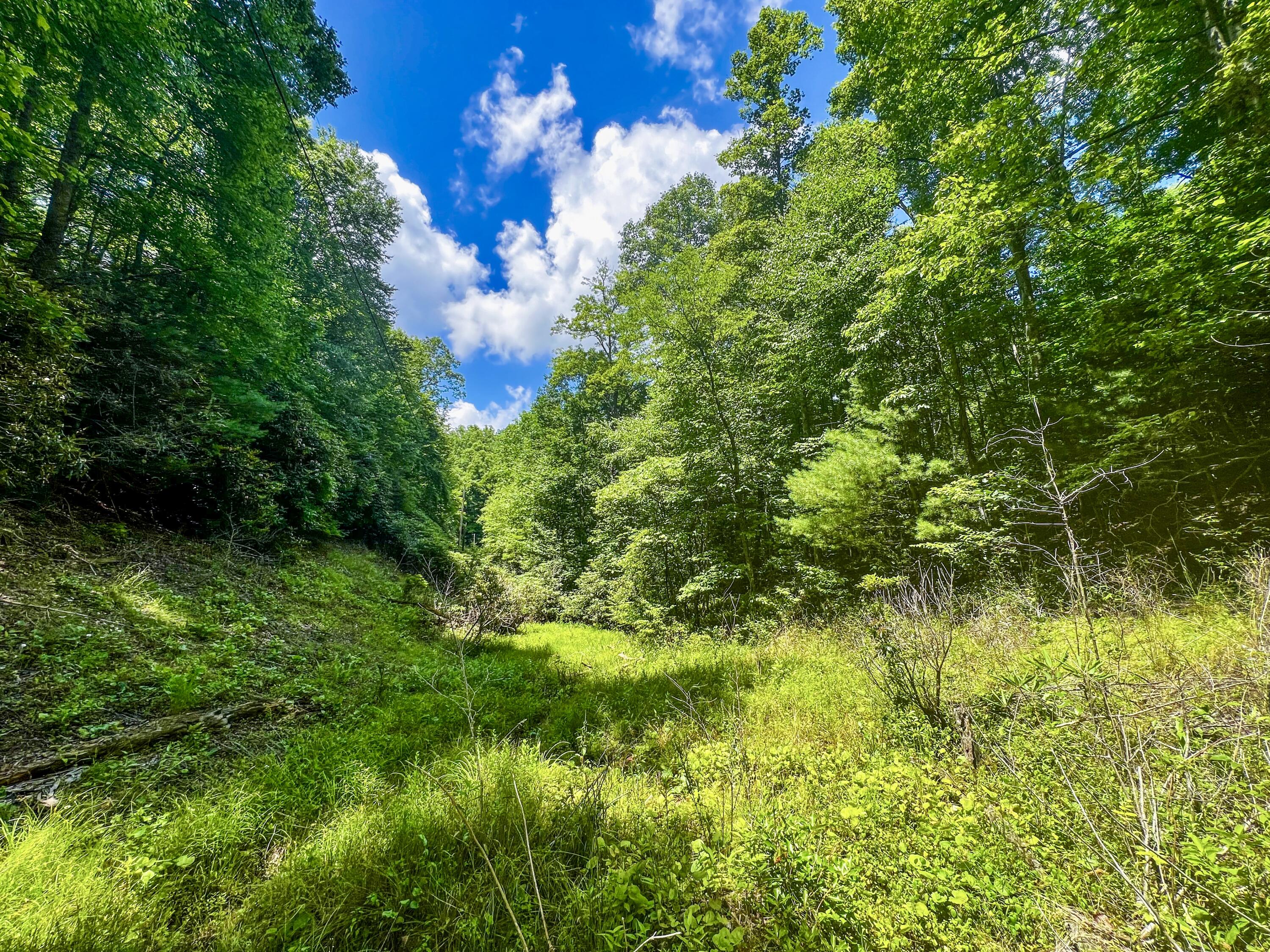 Tbd East Oak Hill Road Hampton, TN 37658 - Photo 1 of 12 1