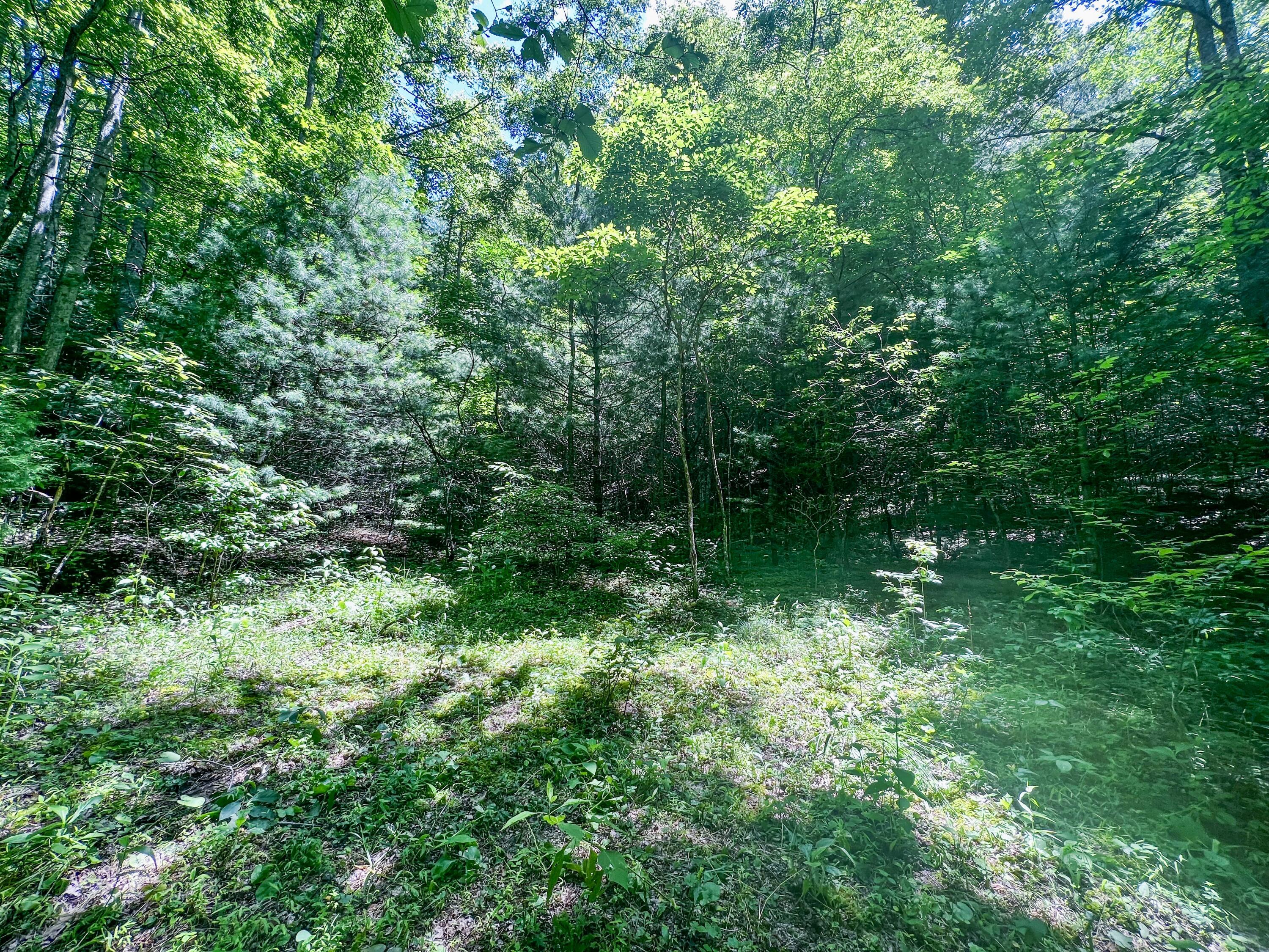Tbd East Oak Hill Road Hampton, TN 37658 - Photo 12 of 12 14