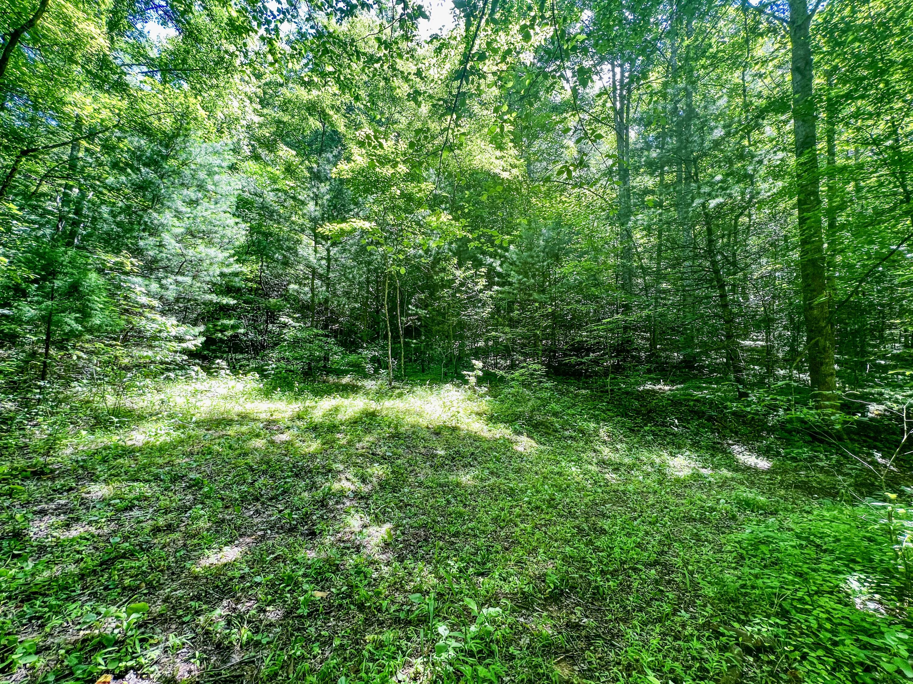 Tbd East Oak Hill Road Hampton, TN 37658 - Photo 2 of 12 4