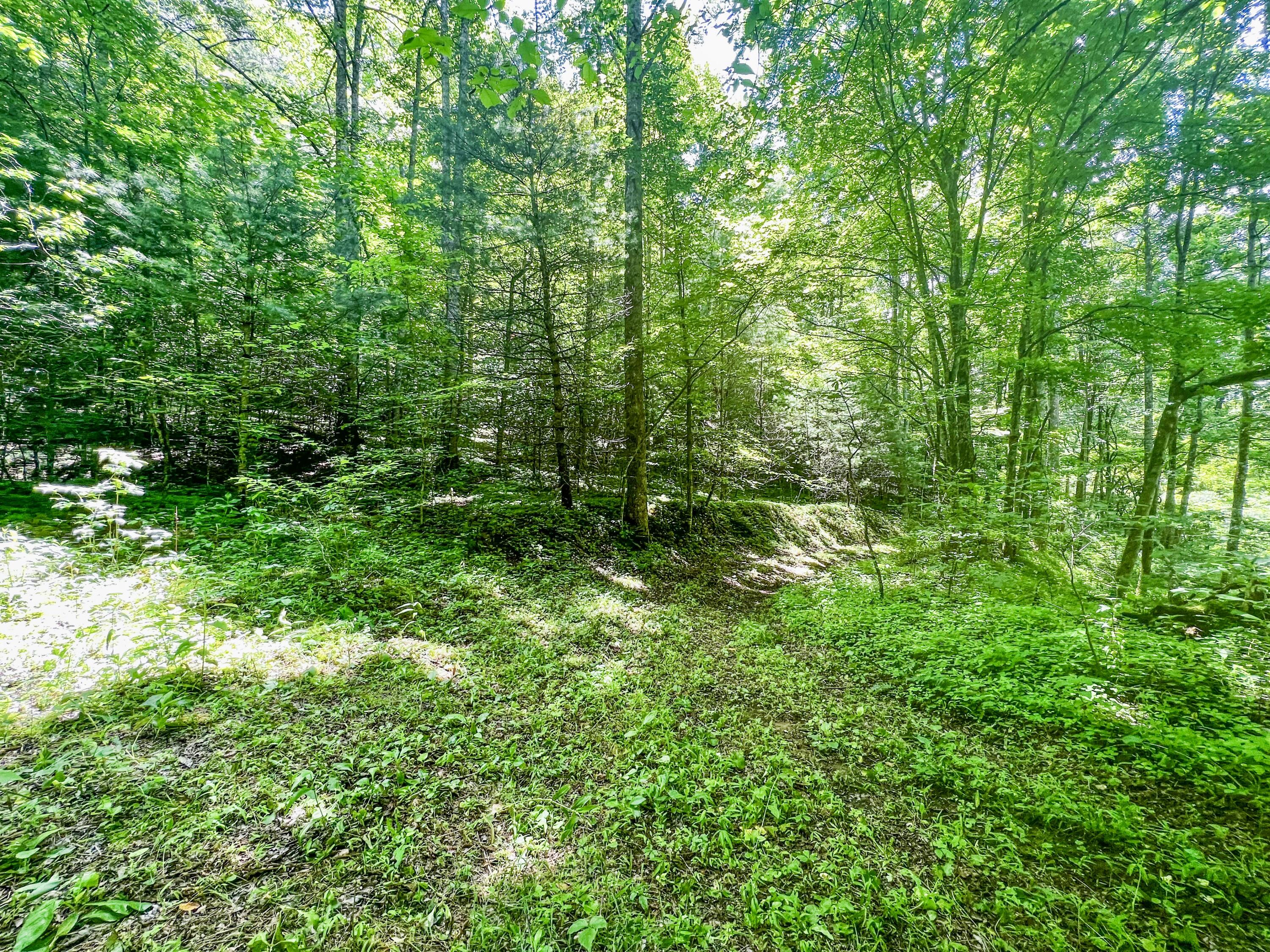 Tbd East Oak Hill Road Hampton, TN 37658 - Photo 3 of 12 5