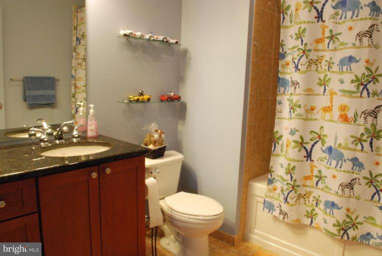 181 East Reed Avenue, Unit 313 Alexandria, VA 22305 - Photo 12 of 22 Bath #2