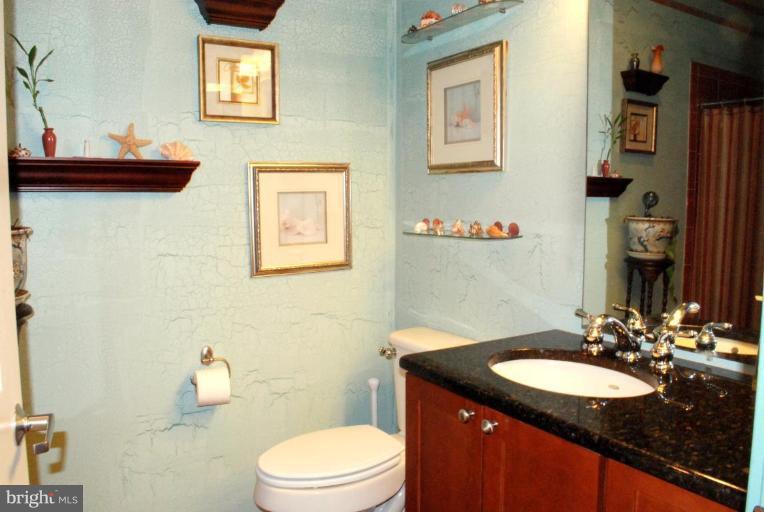 181 East Reed Avenue, Unit 313 Alexandria, VA 22305 - Photo 18 of 22 Master Bath