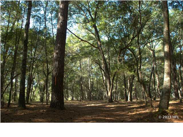 2934 Bohicket Road Johns Island, SC 29455 - Photo 11 of 18 Additional Photo