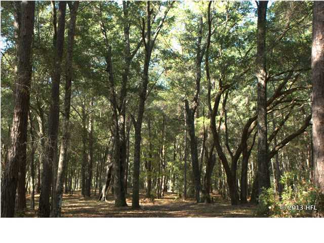 2934 Bohicket Road Johns Island, SC 29455 - Photo 10 of 18 Additional Photo