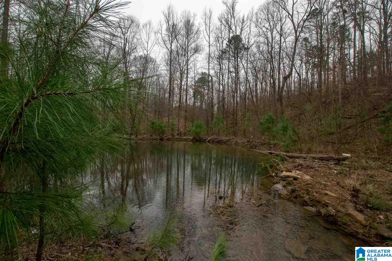 1055 Ranger Trail Warrior, AL 35180 - Photo 23 of 32