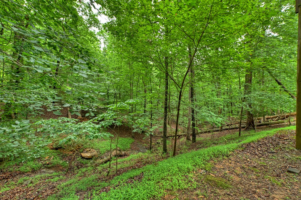 161 Foxhound Court Ellijay, GA 30540 - Photo 8 of 31