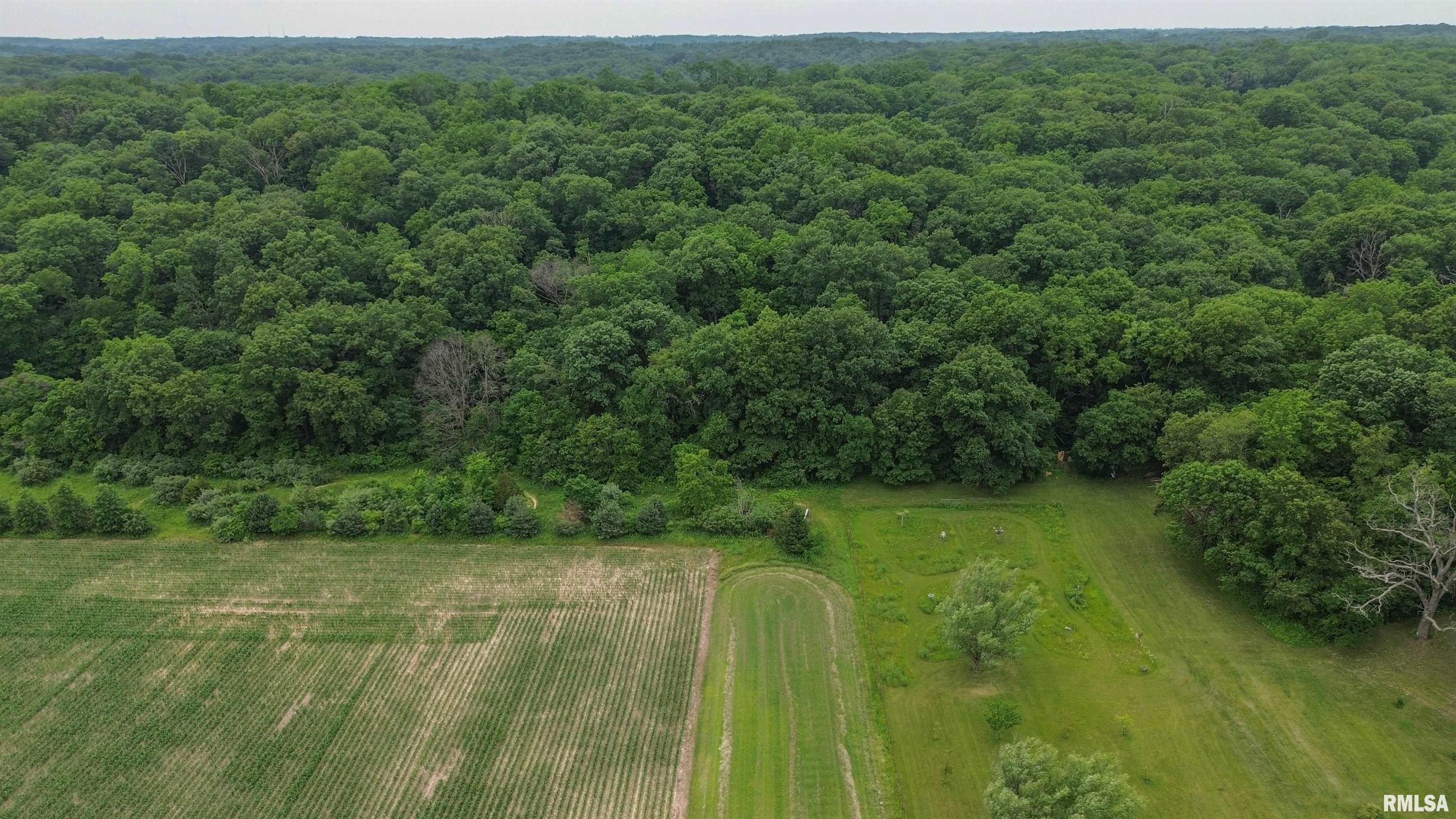 21501 North Berchtold Road Chillicothe, IL 61523 - Photo 85 of 100