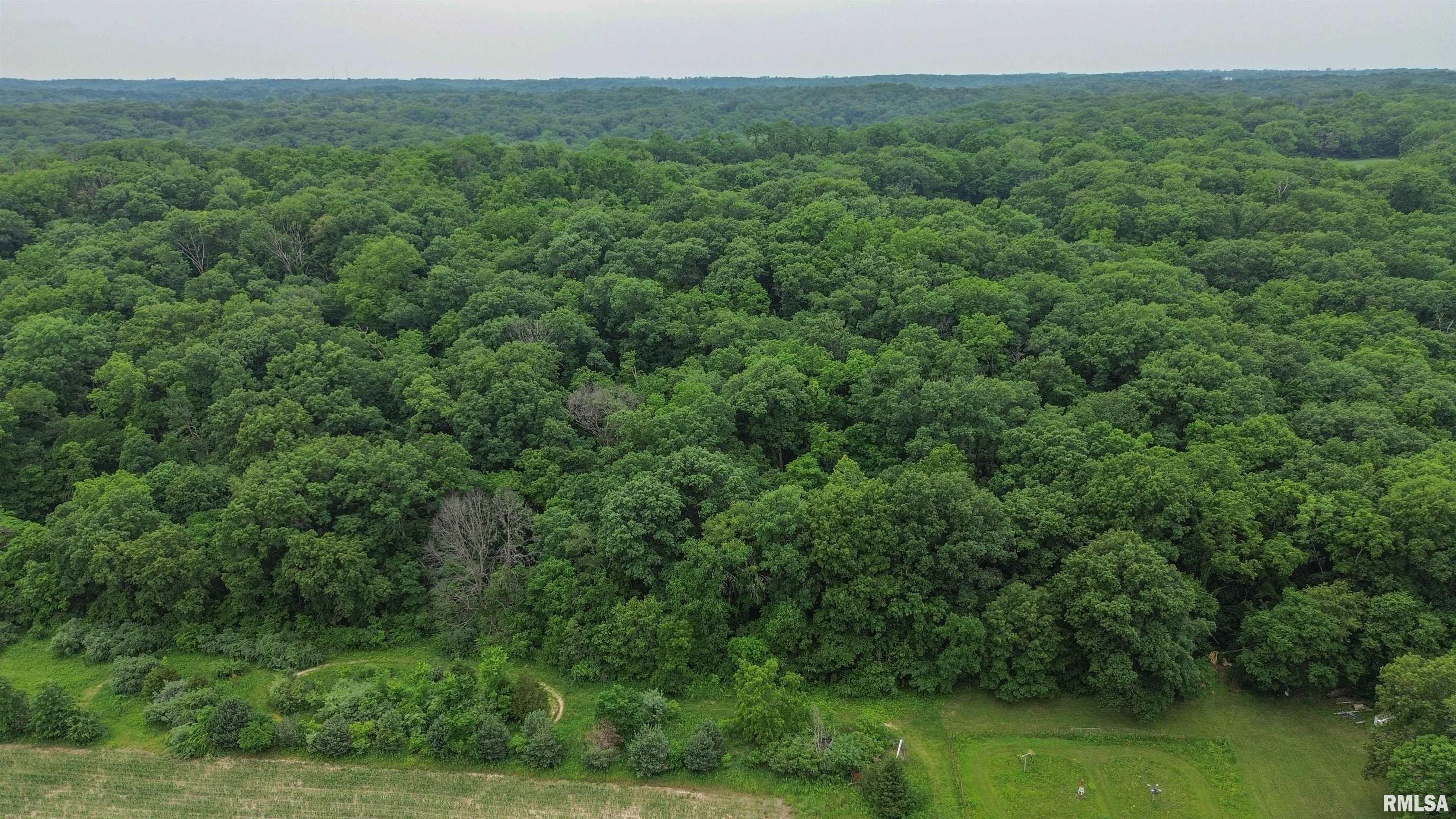 21501 North Berchtold Road Chillicothe, IL 61523 - Photo 86 of 100