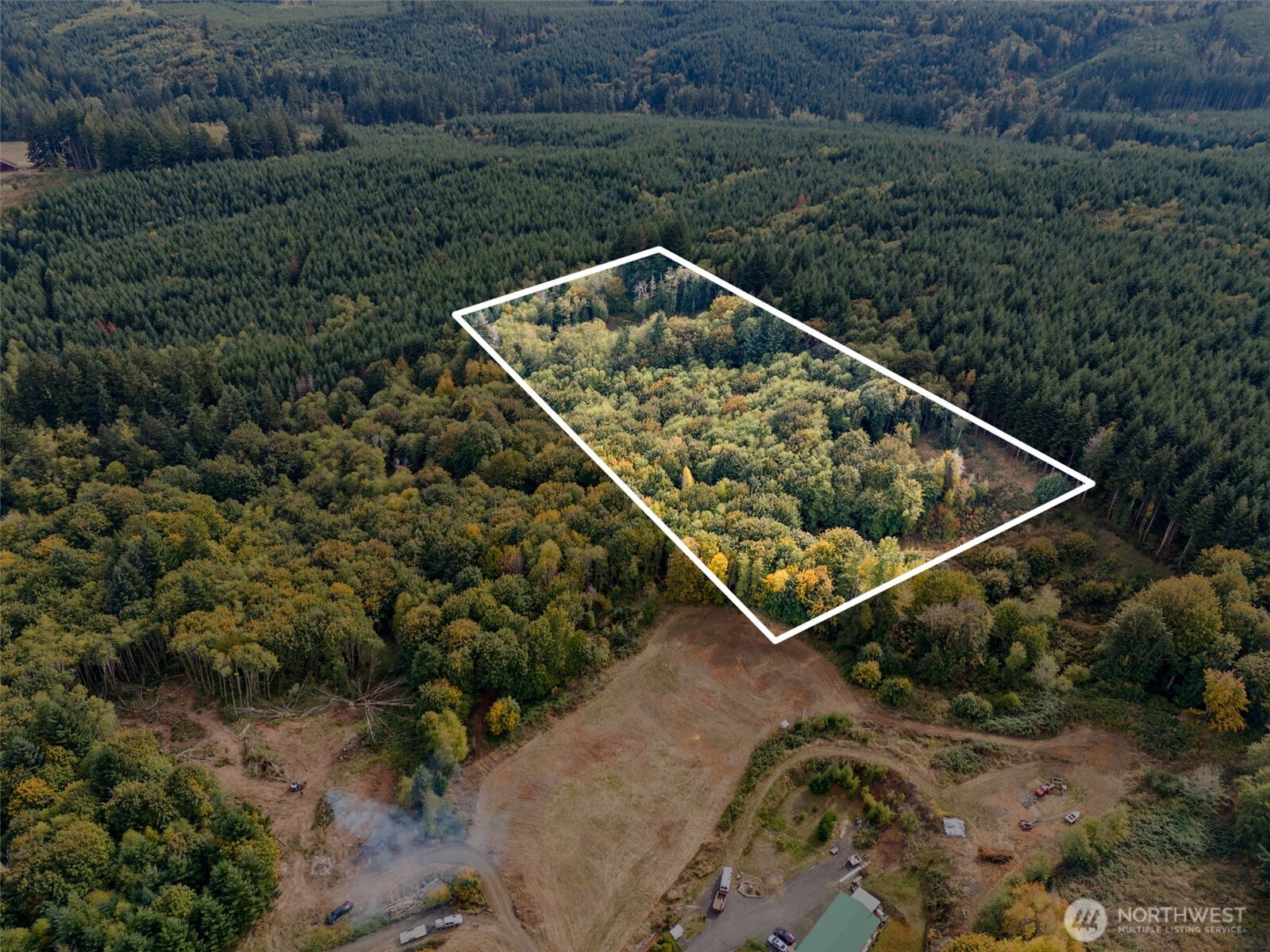 a view of a backyard with plants