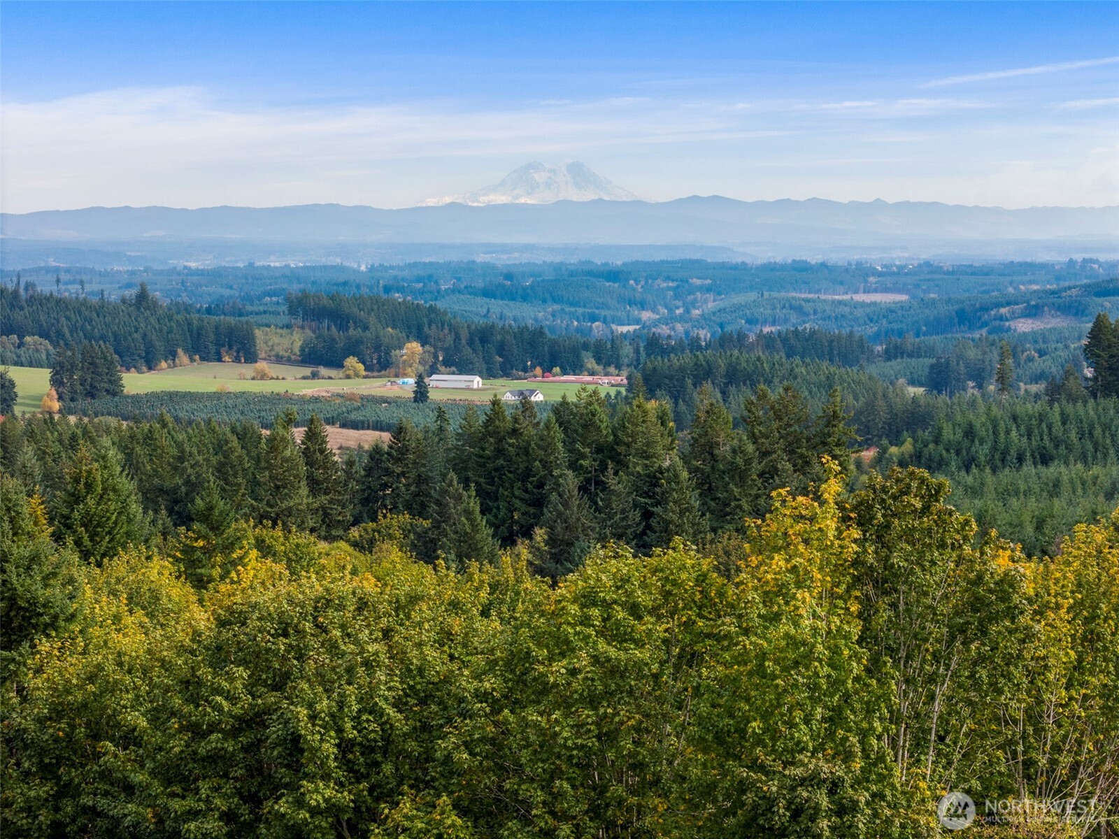 251-62 Crego Hill Road Chehalis, WA 98532 - Photo 2 of 9 an aerial view of residential house with outdoor space and trees all around