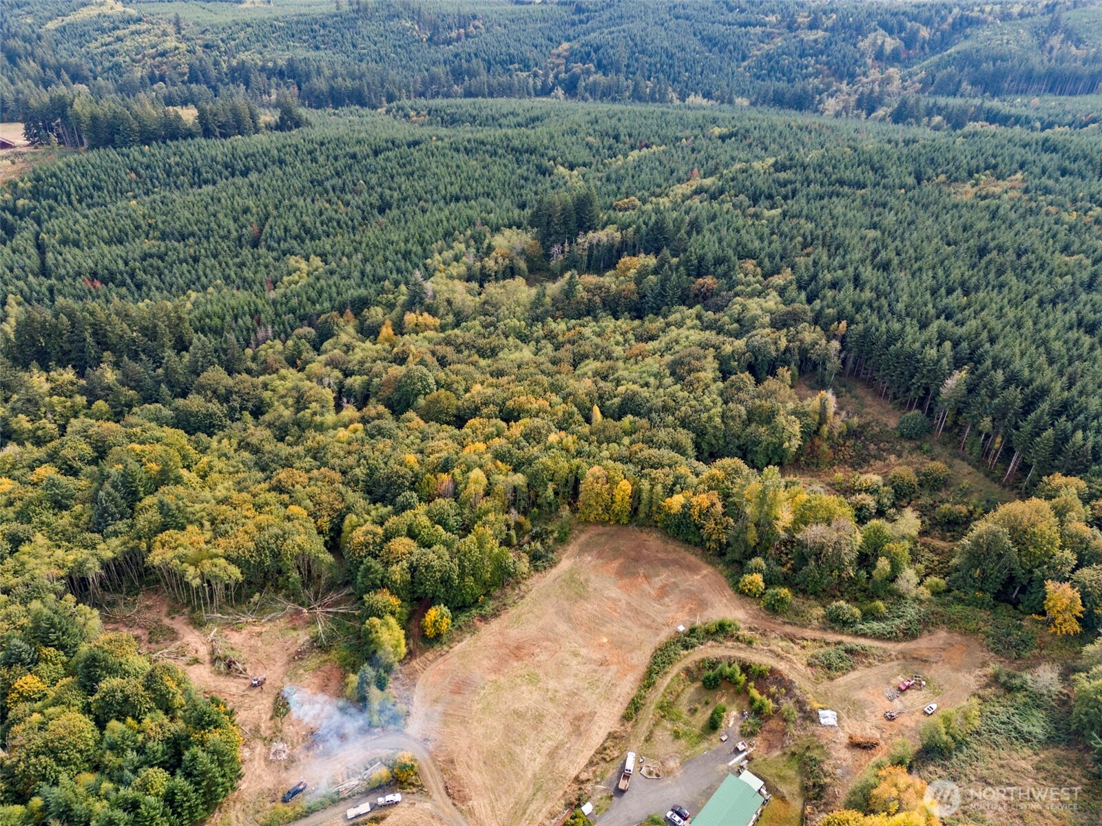 251-62 Crego Hill Road Chehalis, WA 98532 - Photo 3 of 9 a view of a field with a tree