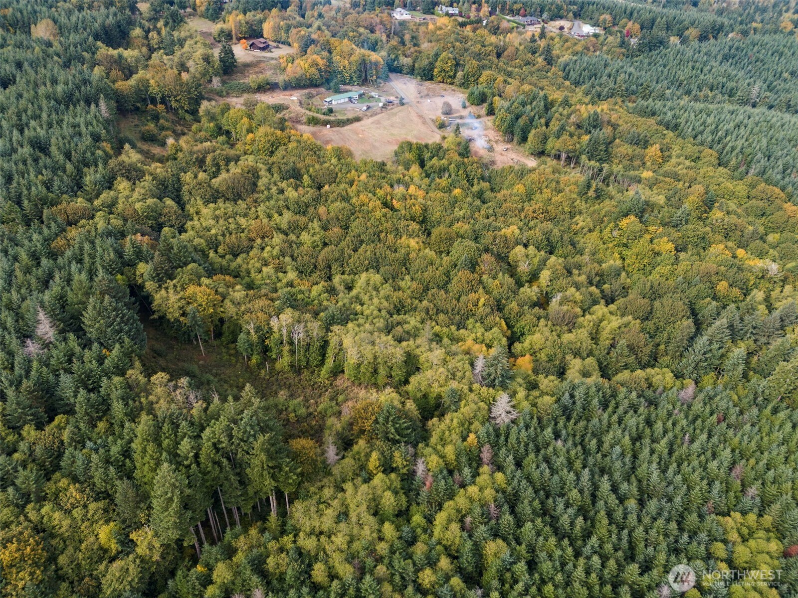 251-62 Crego Hill Road Chehalis, WA 98532 - Photo 6 of 9 a view of a house with a lush green forest