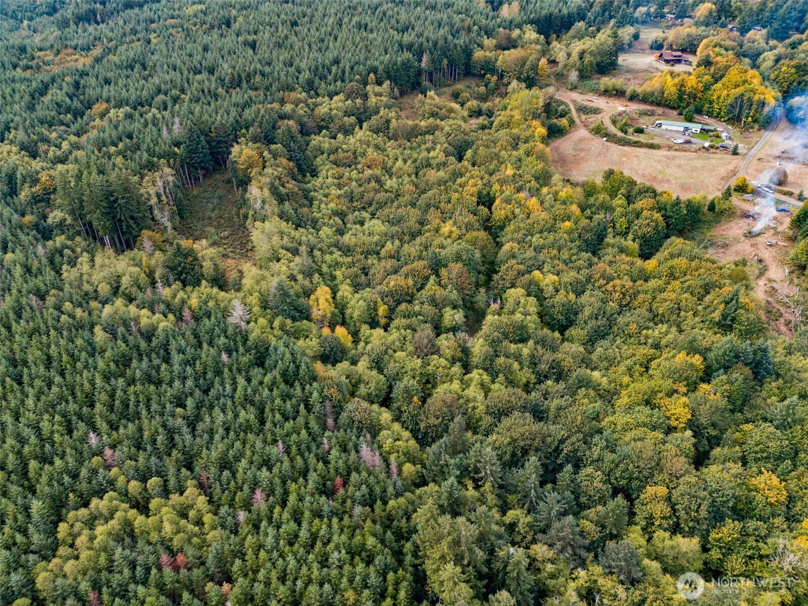 251-62 Crego Hill Road Chehalis, WA 98532 - Photo 7 of 9 a view of a house with a lush green forest