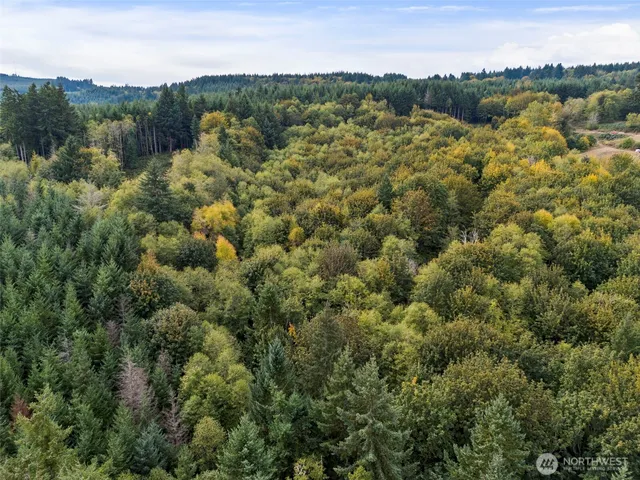 a view of a city with lush green forest