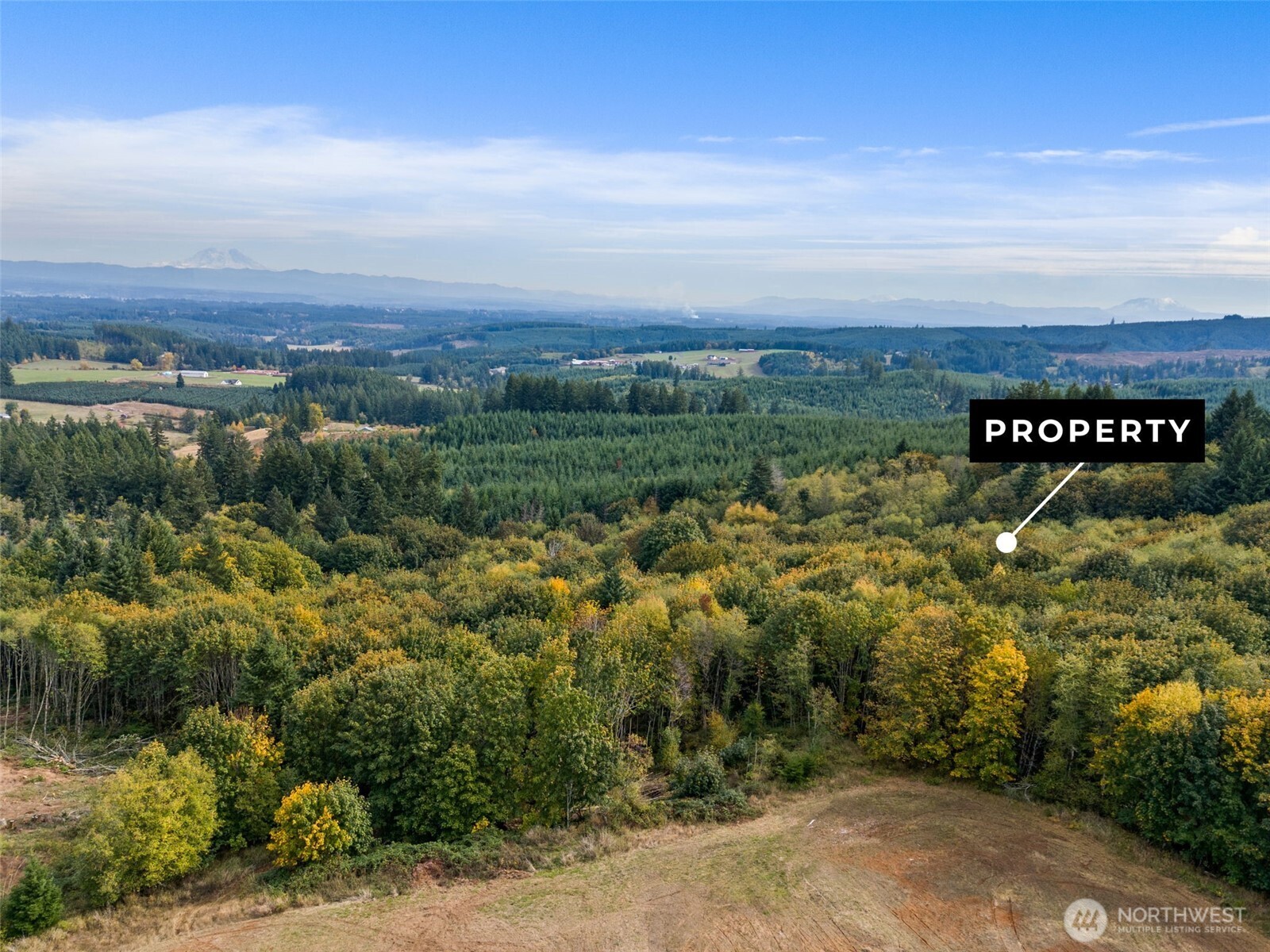 251-62 Crego Hill Road Chehalis, WA 98532 - Photo 9 of 9 a view of a city with lush green forest
