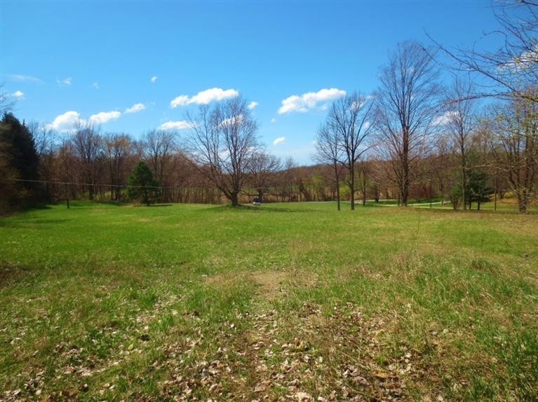 0 North Forrester Road La Porte, IN 46350 - Photo 6 of 9 a view of a big yard