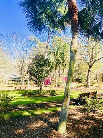 7755 Montview Road North Charleston, SC 29418 - Photo 28 of 30 Stunning Parks