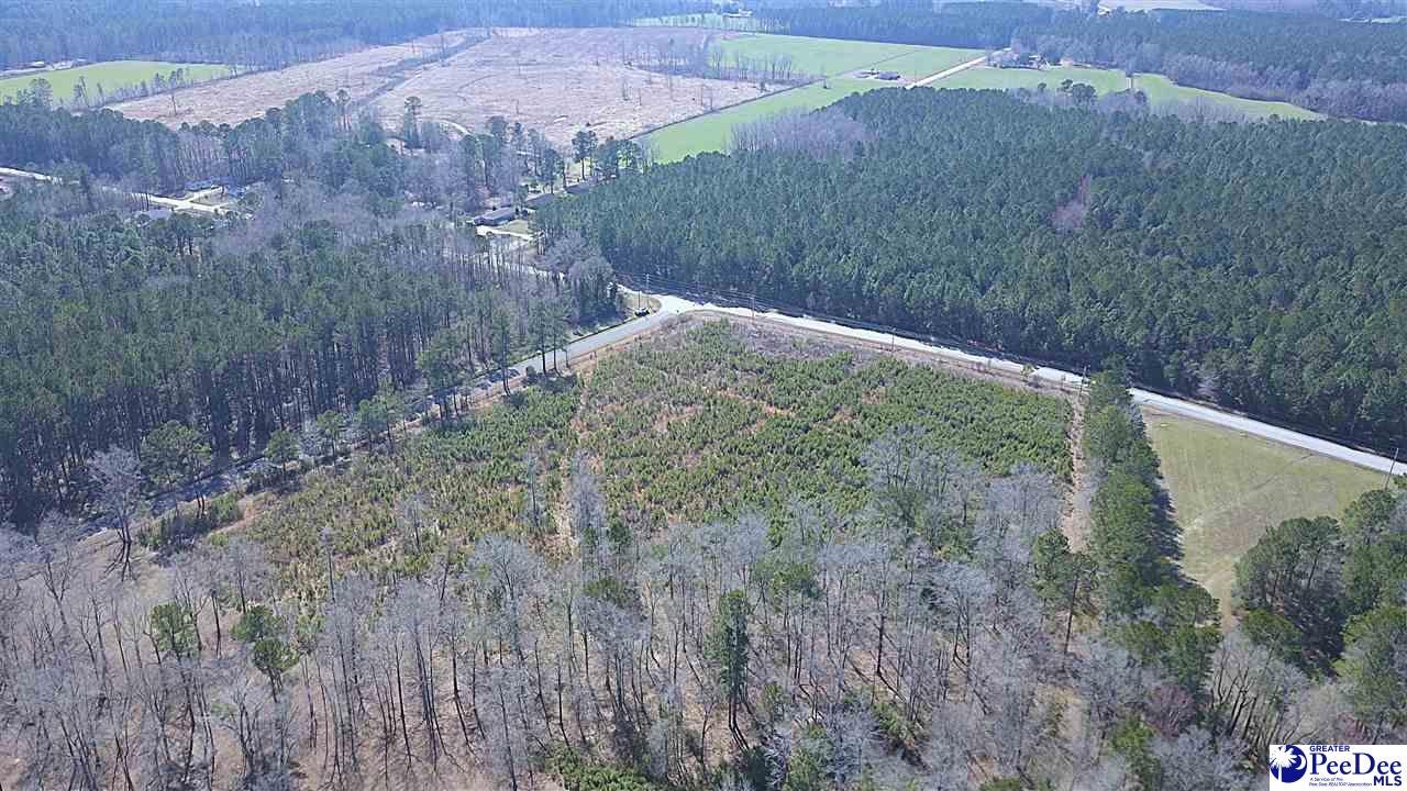 Tbd Huggins Road Lake City, SC 29560 - Photo 7 of 12 Gallery Image 7