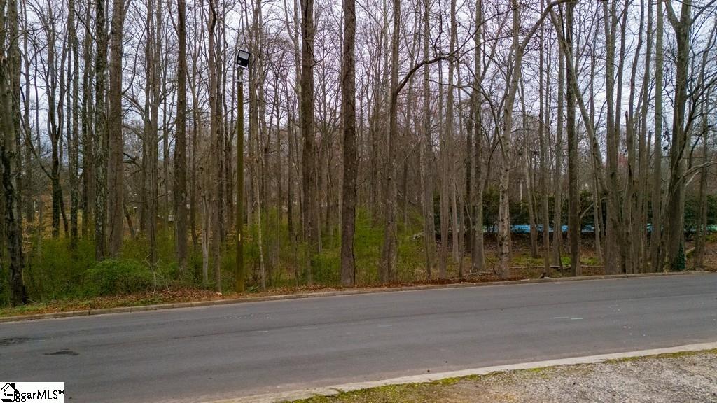0 Piney Grove Road Greenville, SC 29607 - Photo 1 of 9 Gallery Image 1