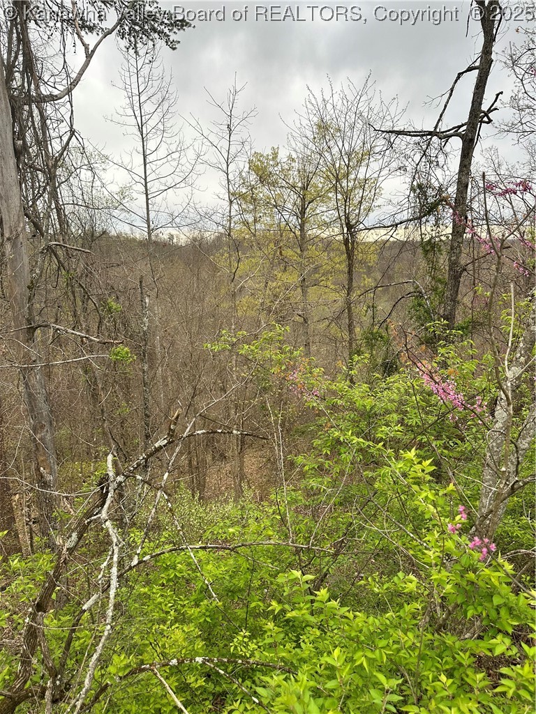 0 Pleasant View Road Huntington, WV 25701 - Photo 4 of 9 Gallery Image 4