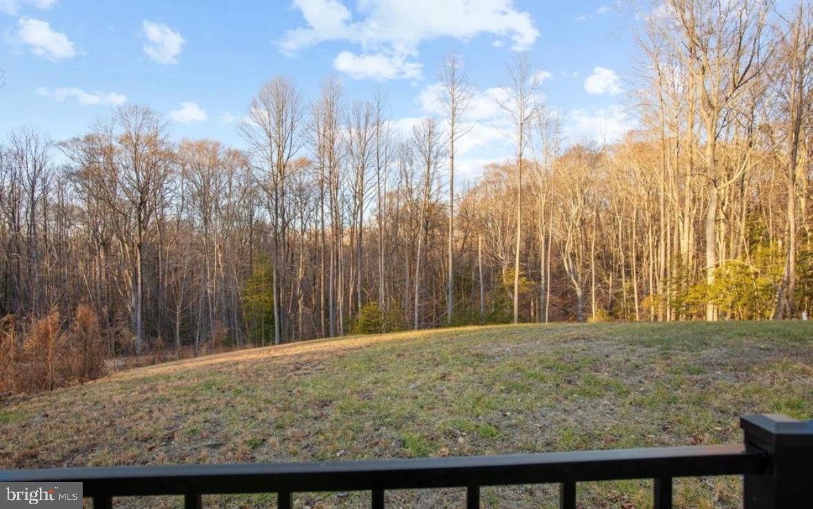 7195 Compass Court King George, VA 22485 - Photo 7 of 58 a view of outdoor space with trees