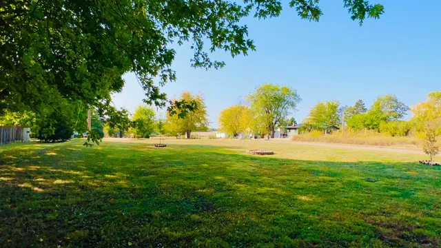 a view of yard with green space