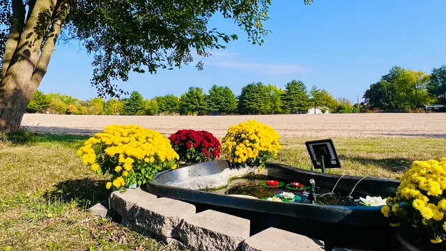 a view of a chairs and table in the patio