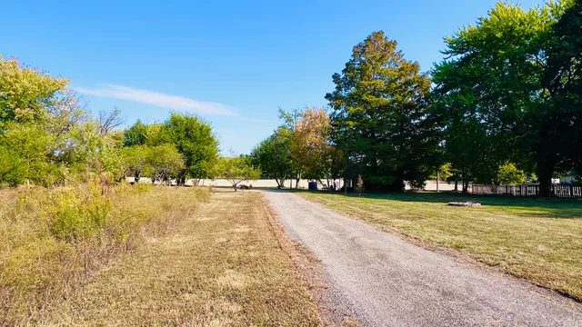 a view of a swimming pool and trees in the background