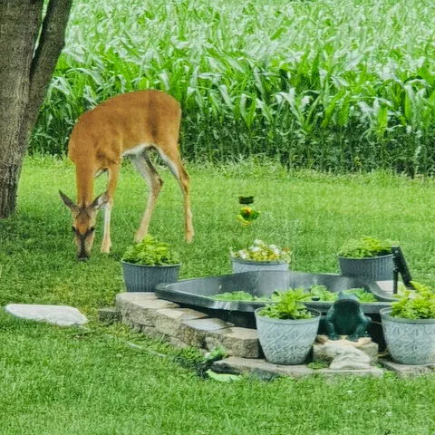 $112,000 | 8533 North 1900 East Road, Bloomington, IL 61705