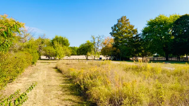 a swimming pool with trees in the background