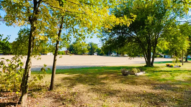 a view of yard with tree