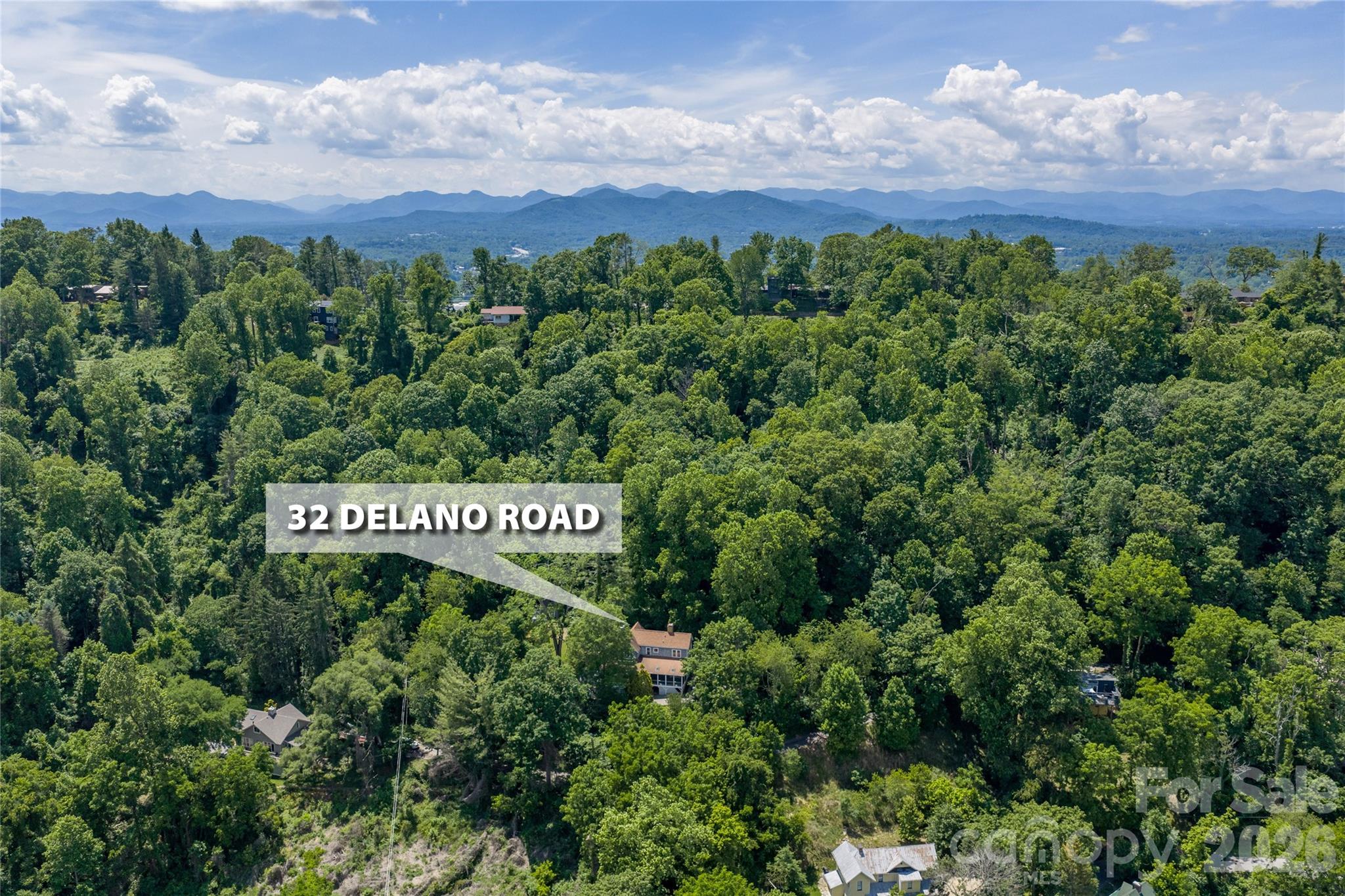 32 Delano Road Asheville, NC 28805 - Photo 43 of 47