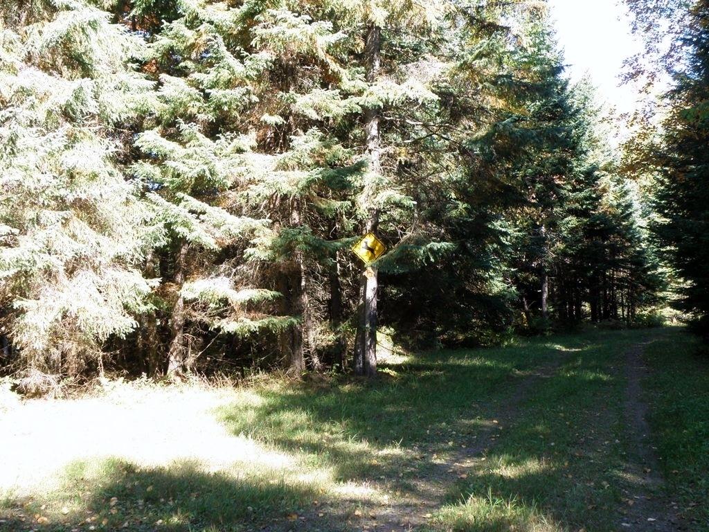 38888 West Maple Ridge Road Hulbert, MI 49748 - Photo 27 of 27 Gallery Image 27