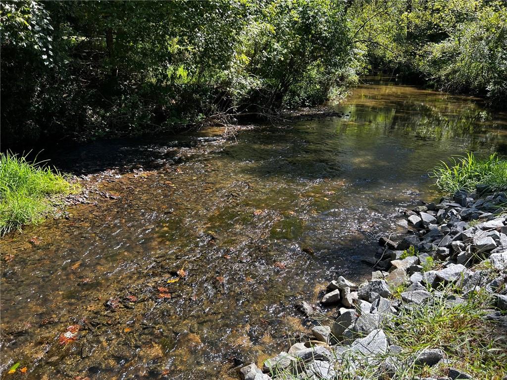 1319 Henry Evans Road Ellijay, GA 30536 - Photo 19 of 57