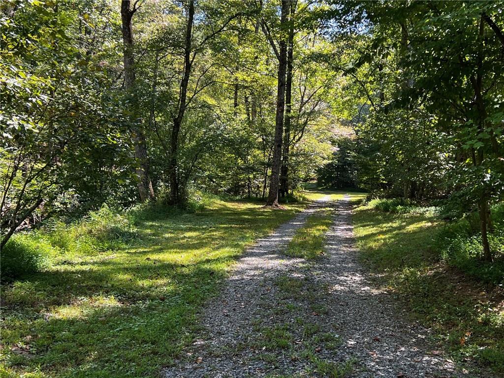 1319 Henry Evans Road Ellijay, GA 30536 - Photo 51 of 57