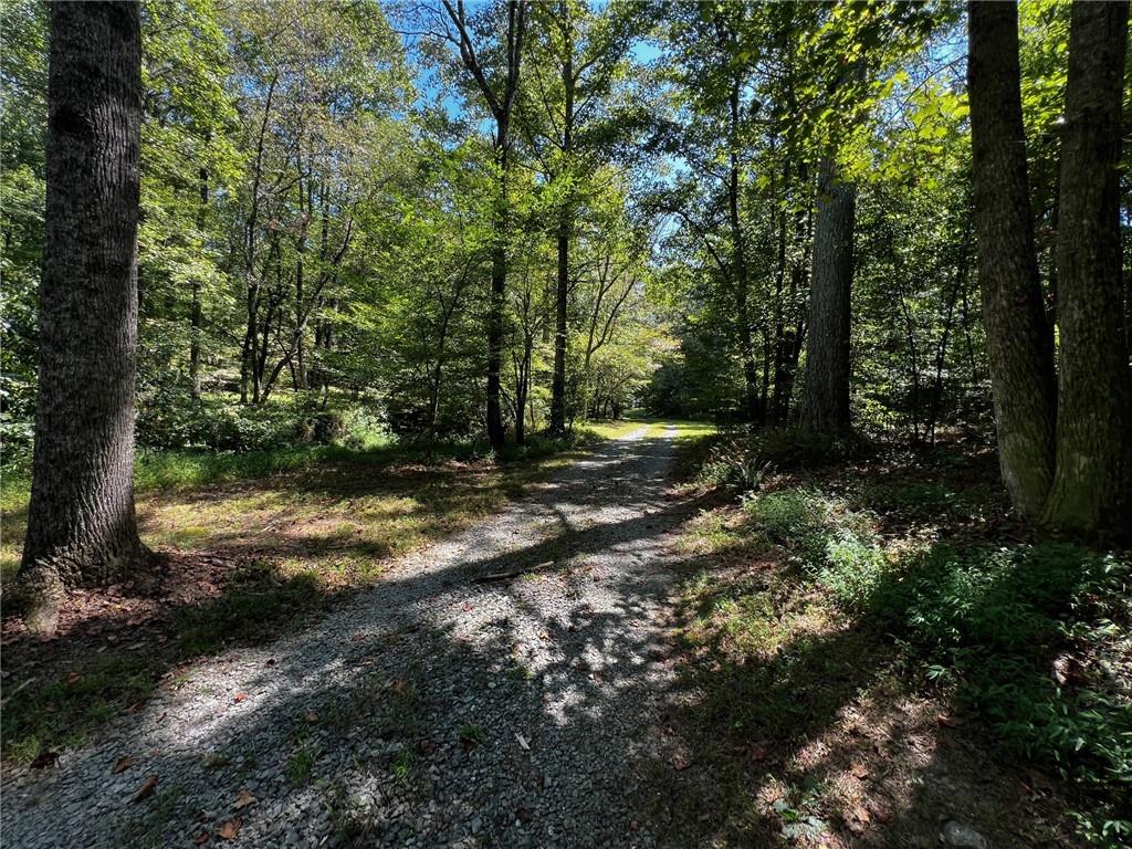 1319 Henry Evans Road Ellijay, GA 30536 - Photo 52 of 57