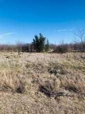 30 Neeleys Slough Graford, TX 76449 - Photo 10 of 11