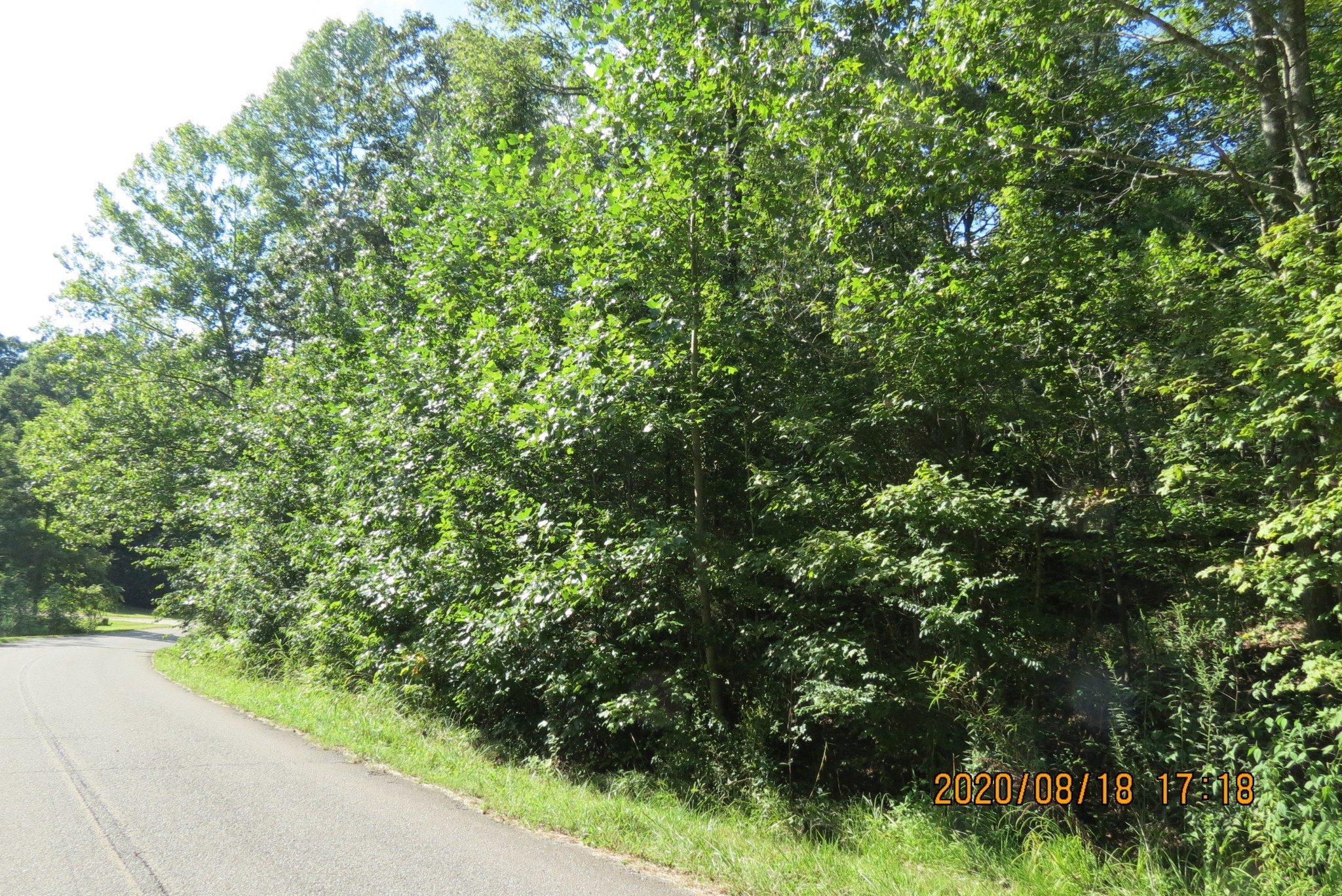 0 Hurricane Loop Tennessee Ridge, TN 37178 - Photo 4 of 5 a view of a garden