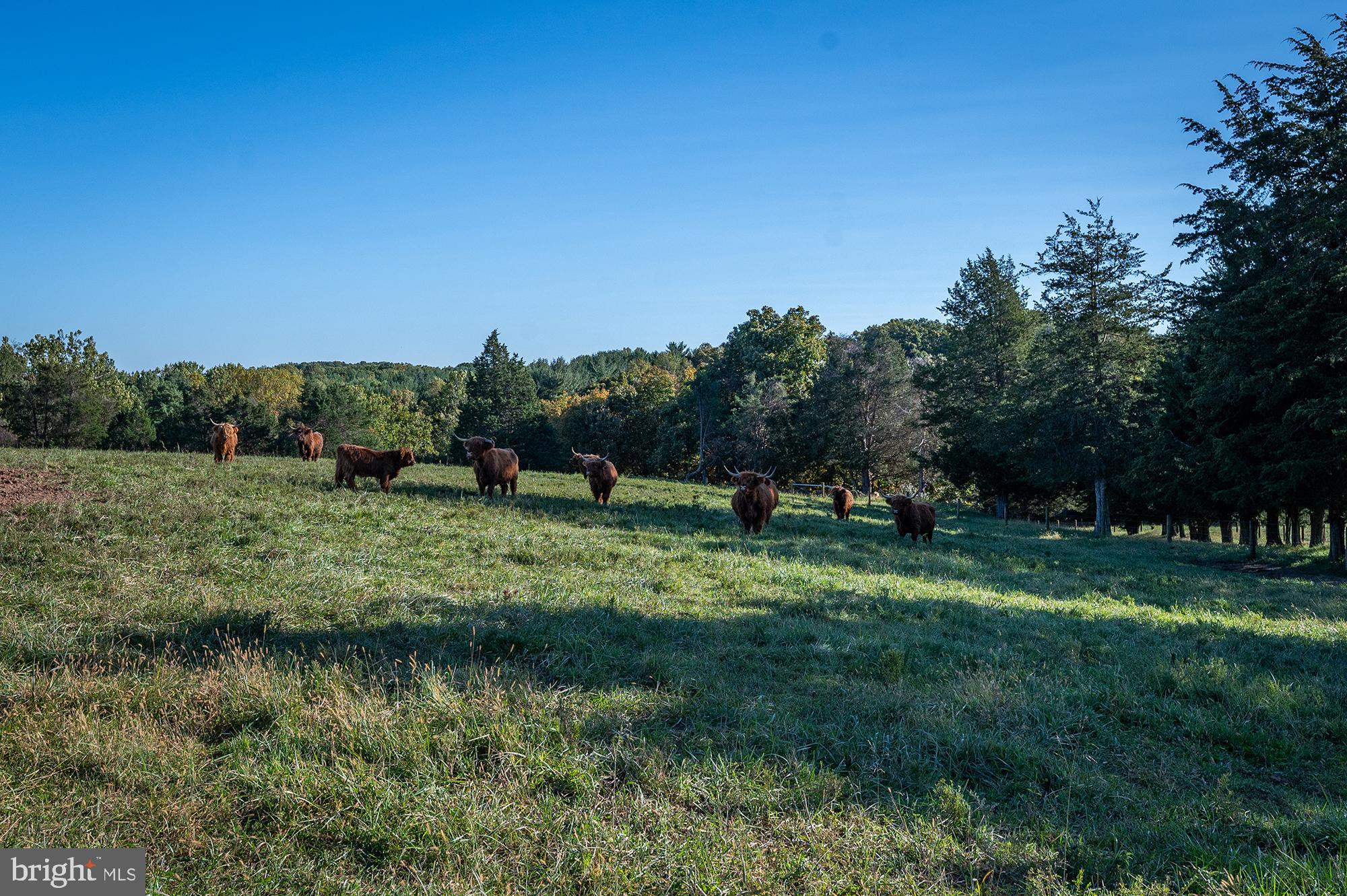 2521 Bollinger Mill Road Finksburg, MD 21048 - Photo 83 of 83