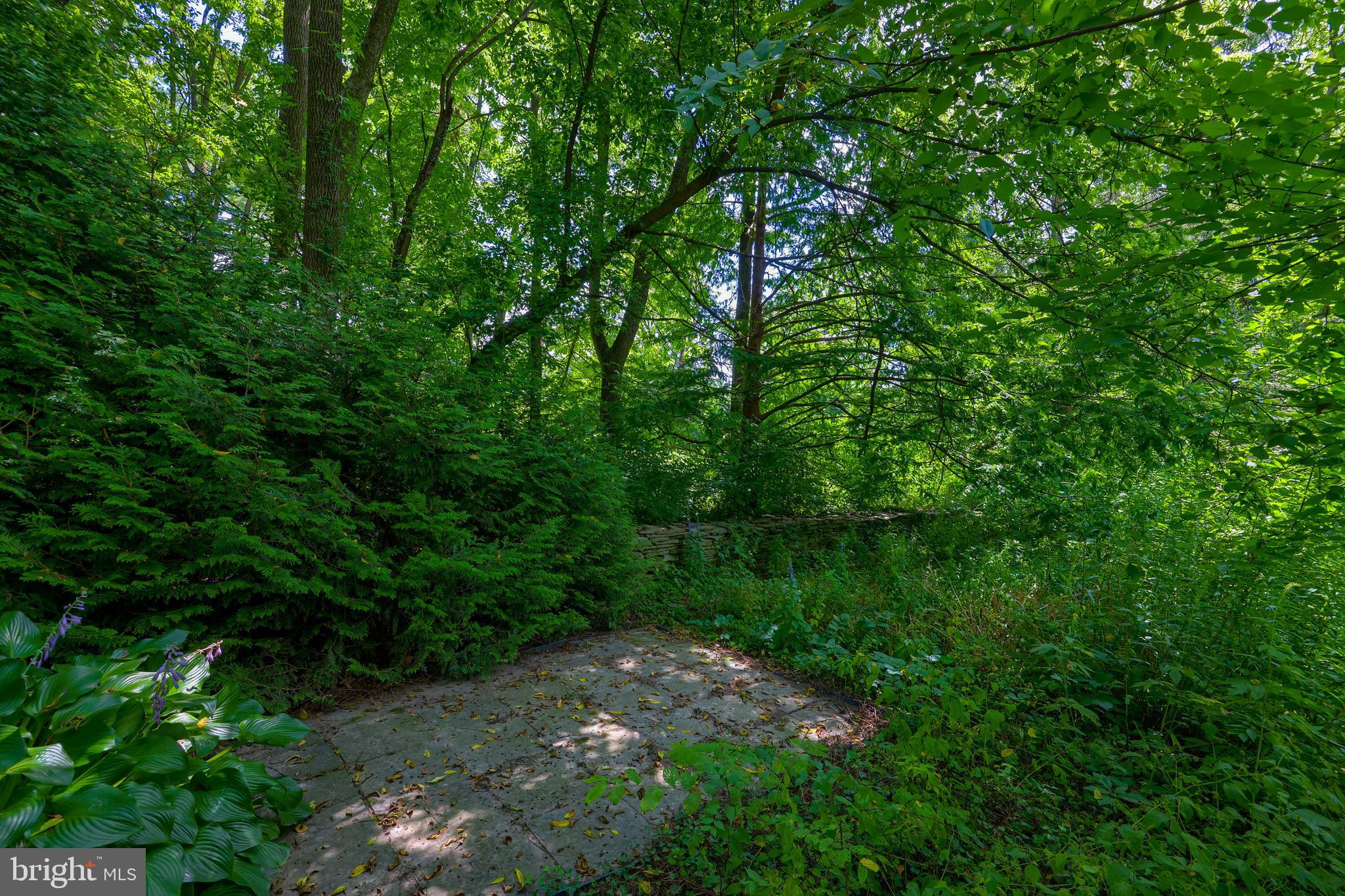 2410 Butter Road Lancaster, PA 17601 - Photo 54 of 58 Backyard - Patio area
