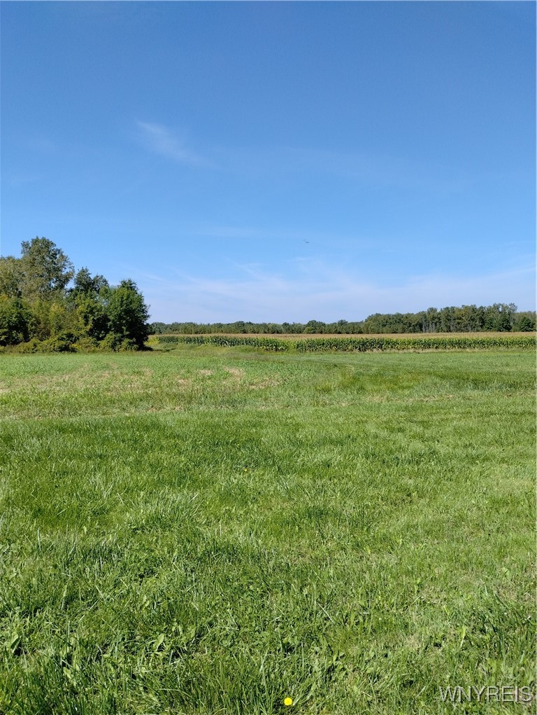 0 Cambria Wilson Road Wilson, NY 14172 - Photo 1 of 1